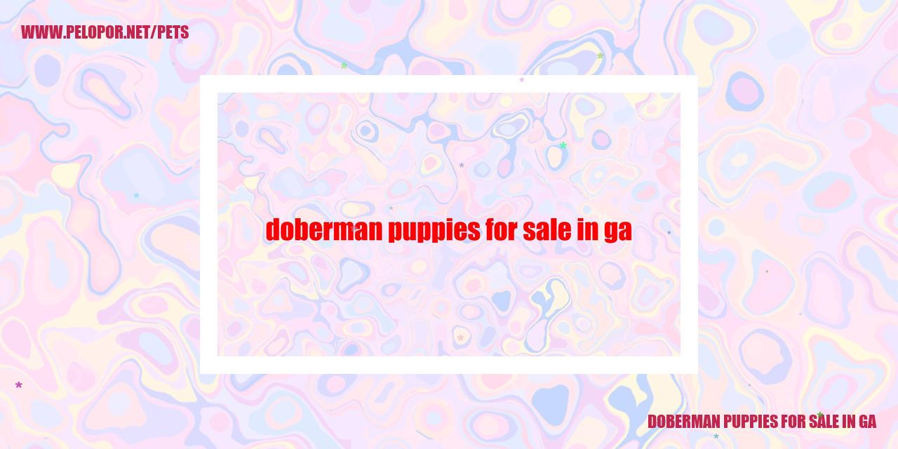 Doberman Puppies For Sale In Ga