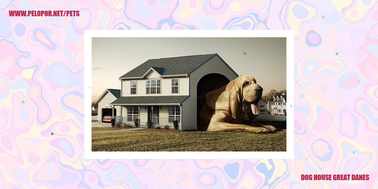 Dog House Great Danes