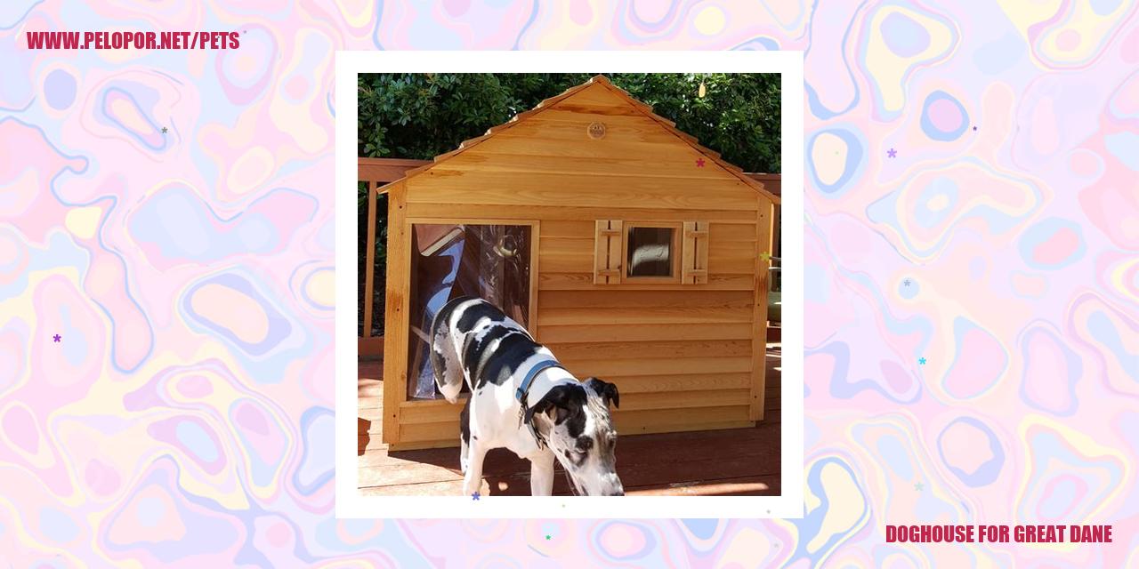 Doghouse For Great Dane