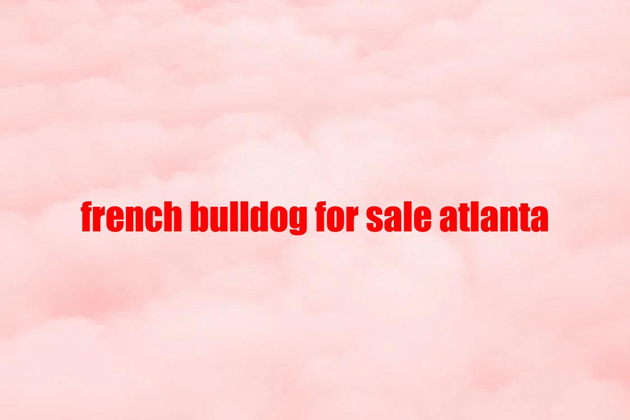 French Bulldog For Sale Atlanta