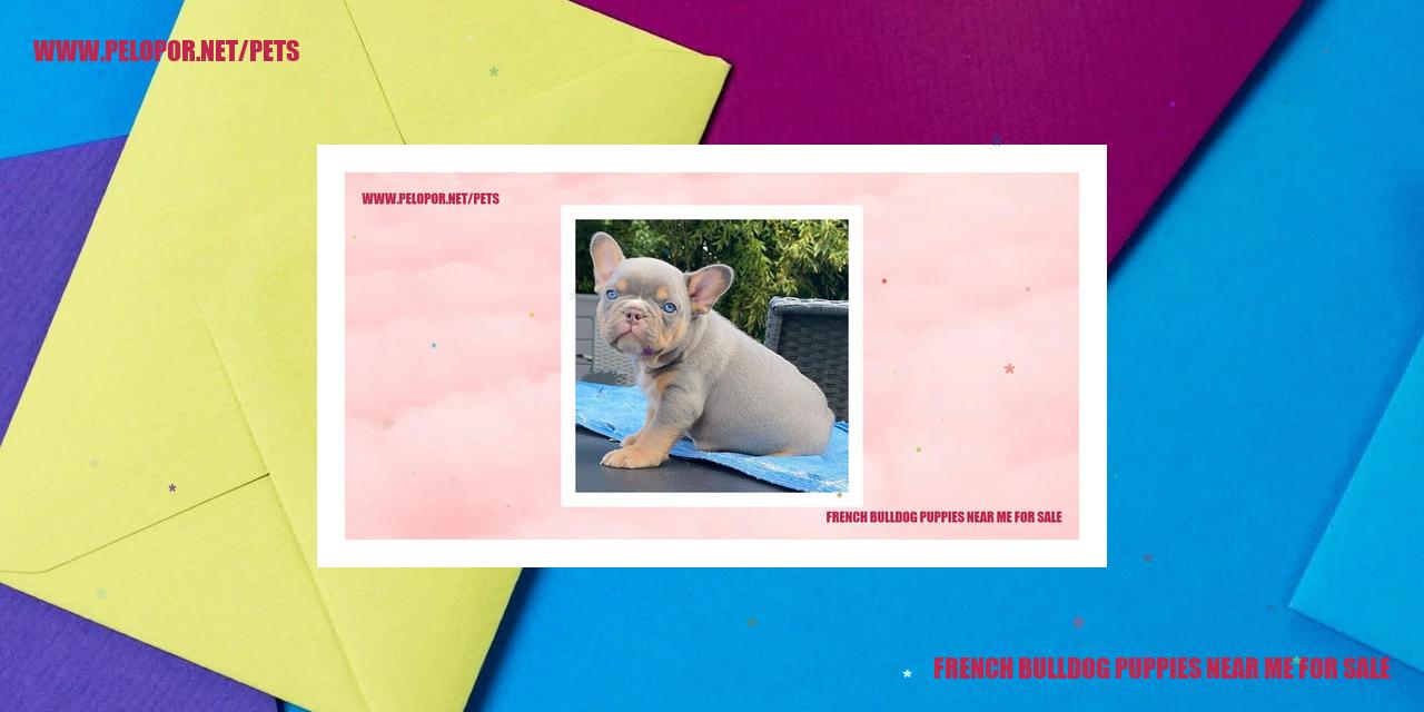 French Bulldog Puppies Near Me For Sale