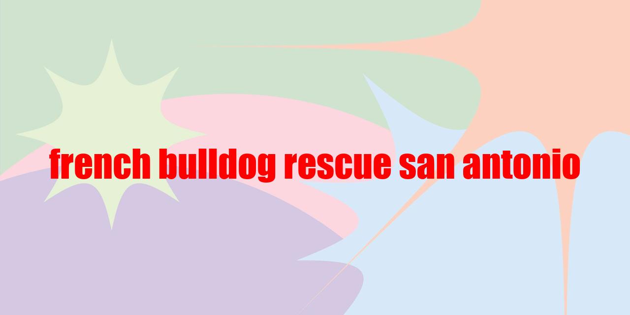 French Bulldog Rescue San Antonio