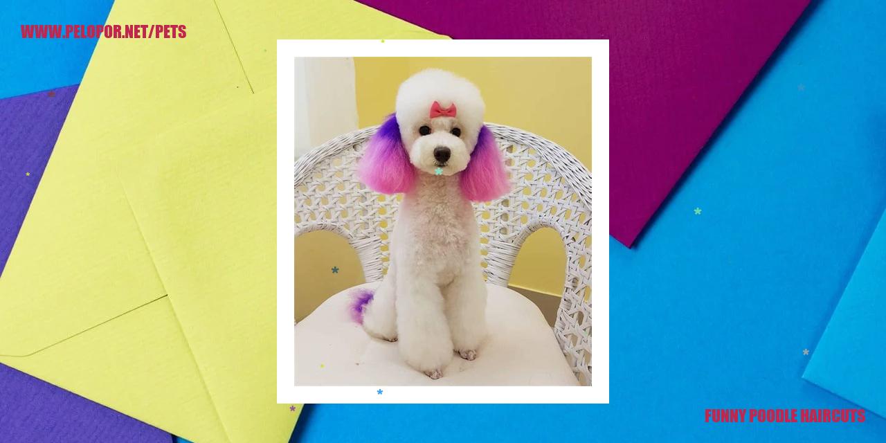 funny poodle haircuts