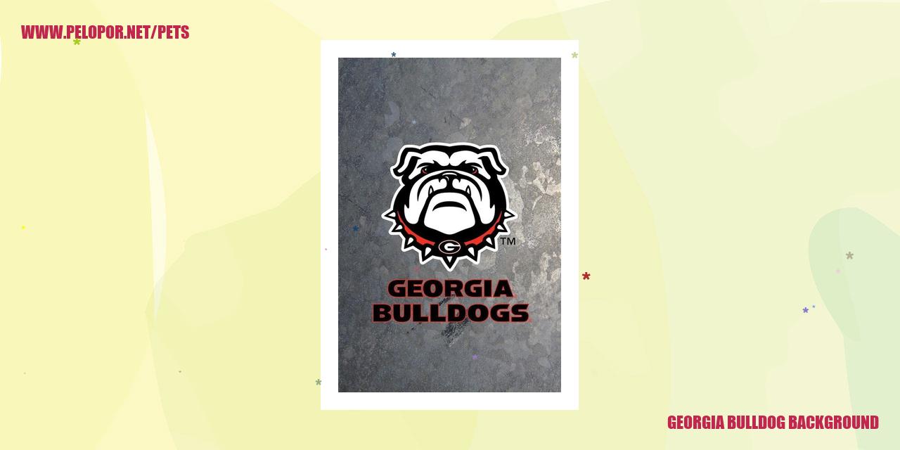 Georgia Bulldogs Wallpapers  Top Free Georgia Bulldogs Backgrounds   WallpaperAccess