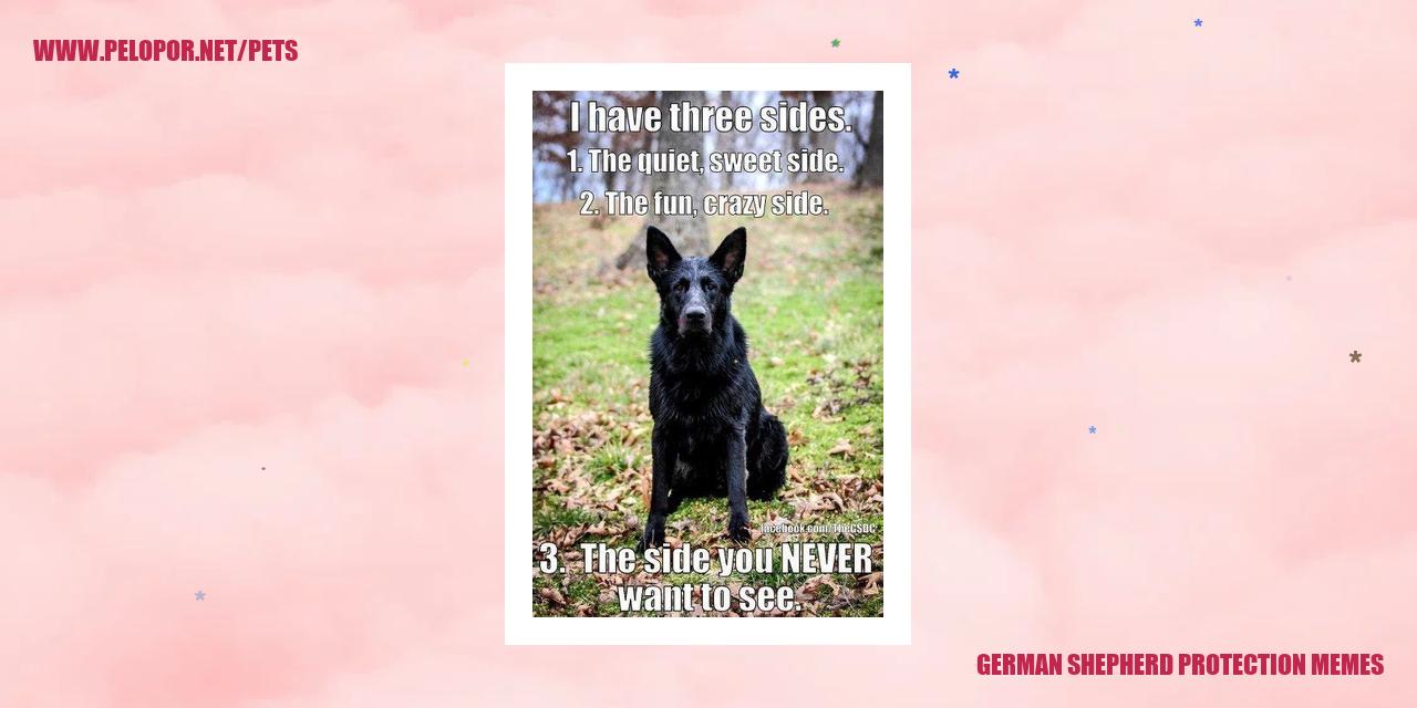 German Shepherd Protection Memes