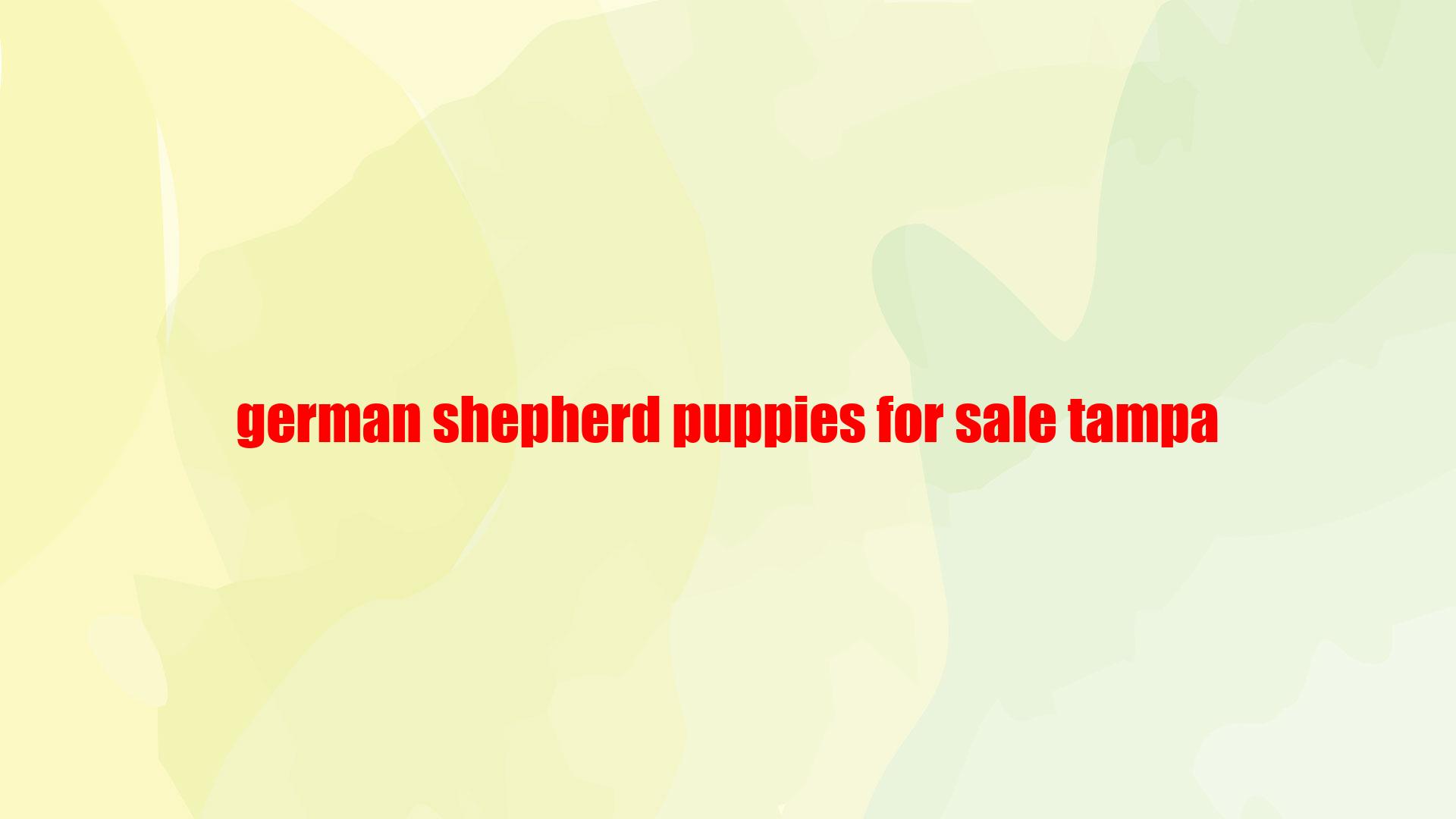 German Shepherd Puppies For Sale Tampa