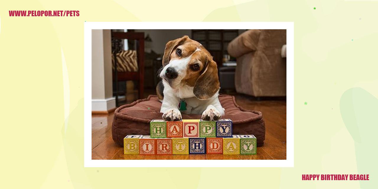 happy birthday beagle
