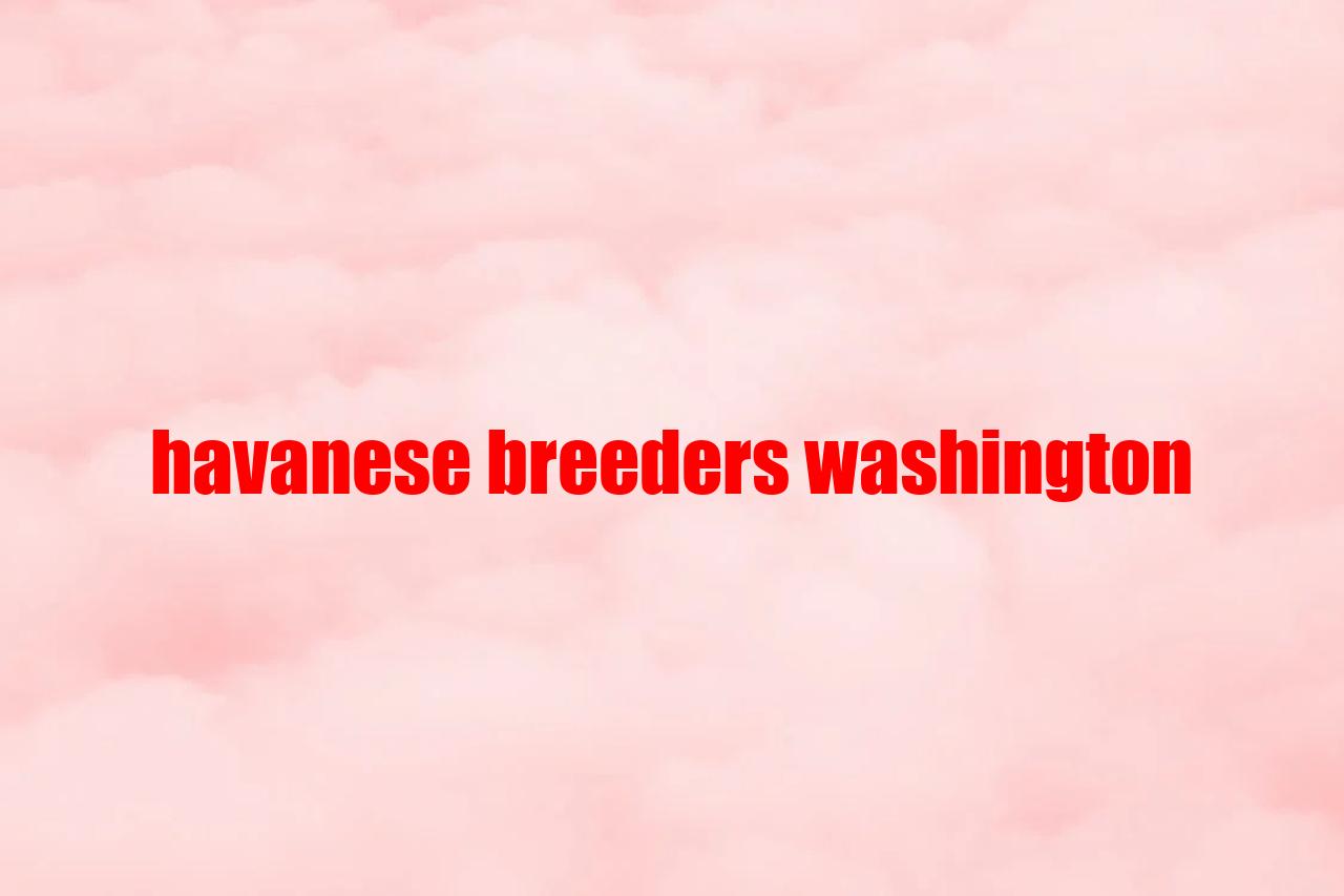 Havanese Breeders Washington