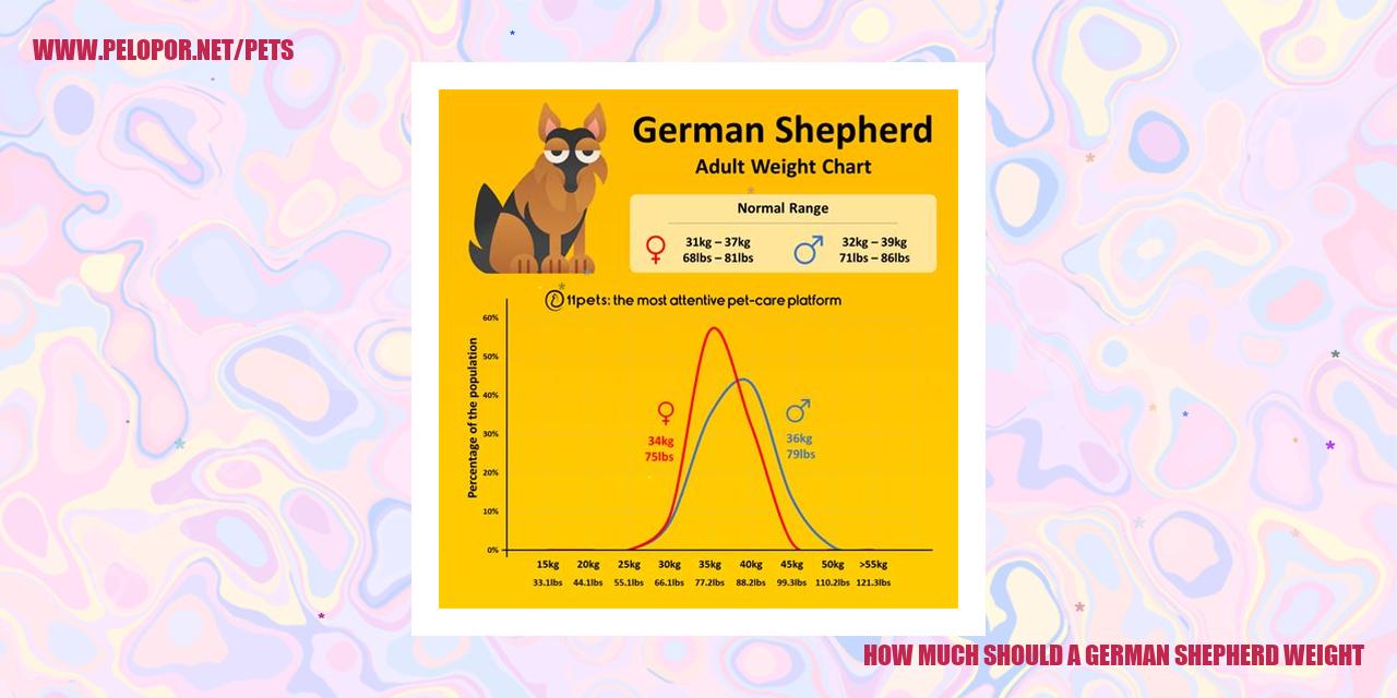 How Much Should A German Shepherd Weight