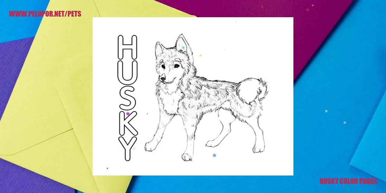 Husky Color Pages