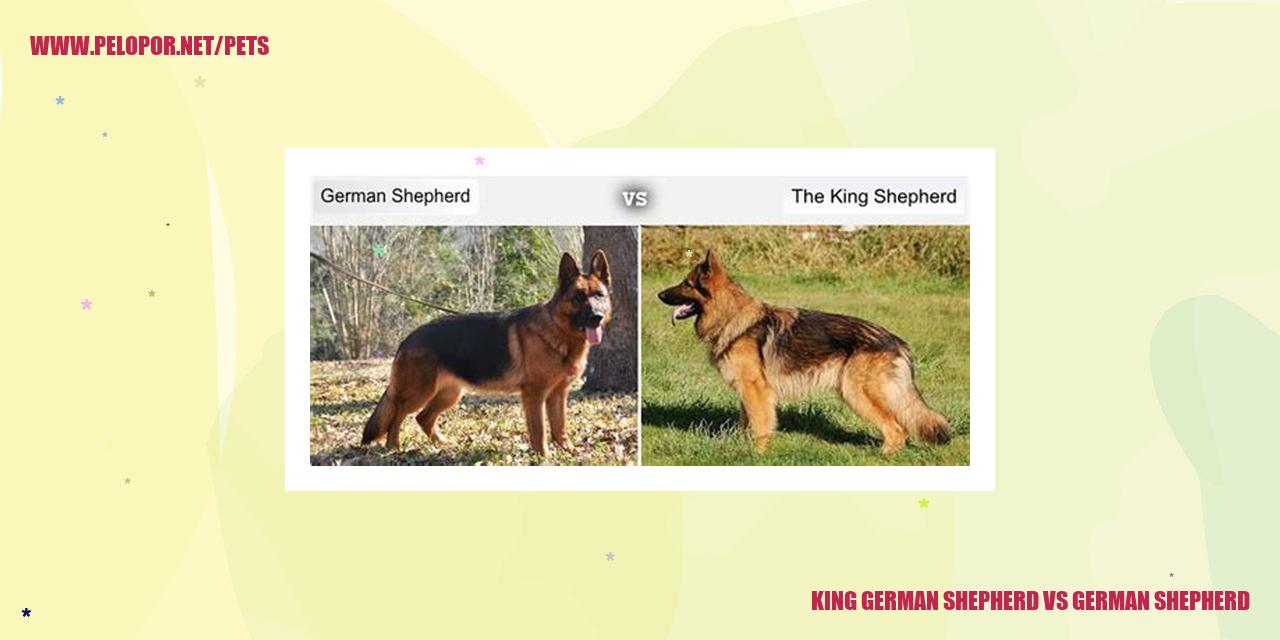 King German Shepherd Vs German Shepherd