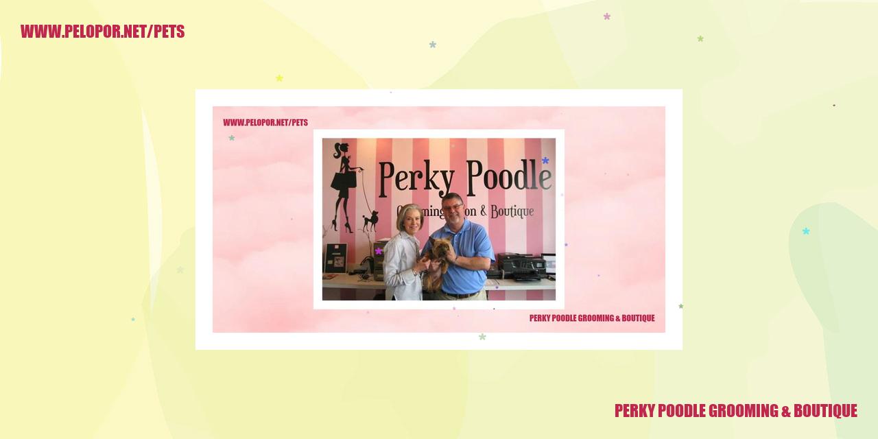 perky poodle grooming & boutique