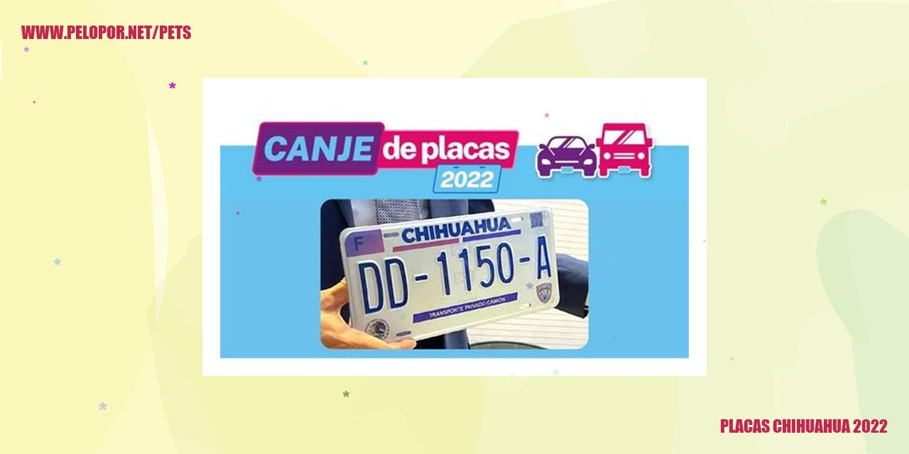 Placas Chihuahua 2022