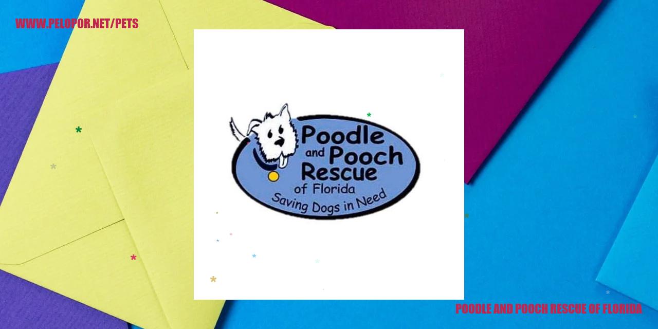 poodle and pooch rescue of florida