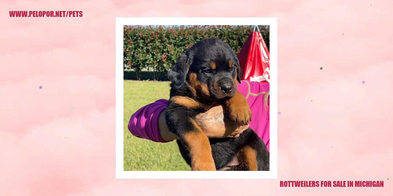 rottweilers for sale in michigan
