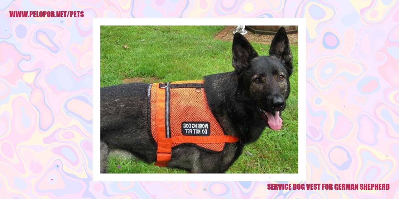 Service Dog Vest For German Shepherd