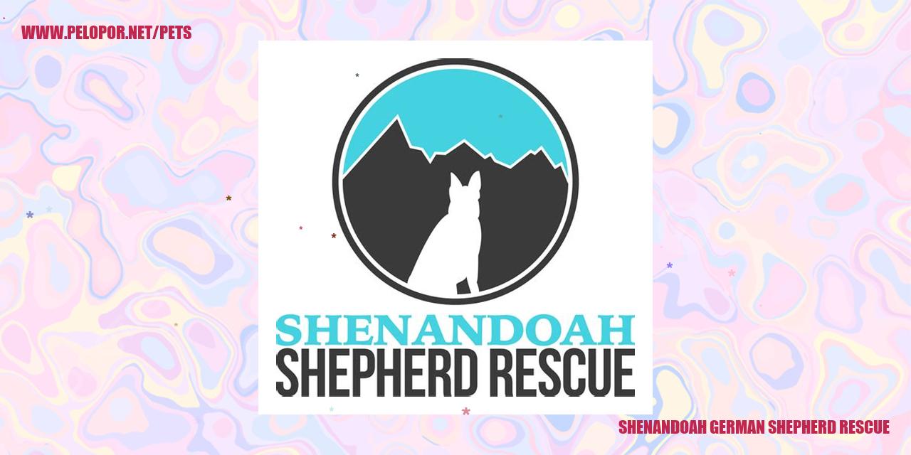 Shenandoah German Shepherd Rescue