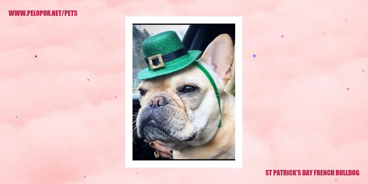 St Patrick’S Day French Bulldog