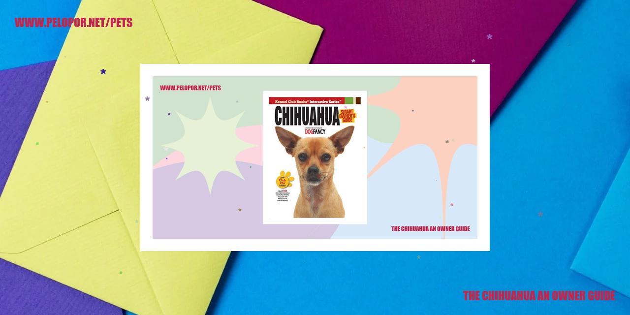The Chihuahua An Owner Guide