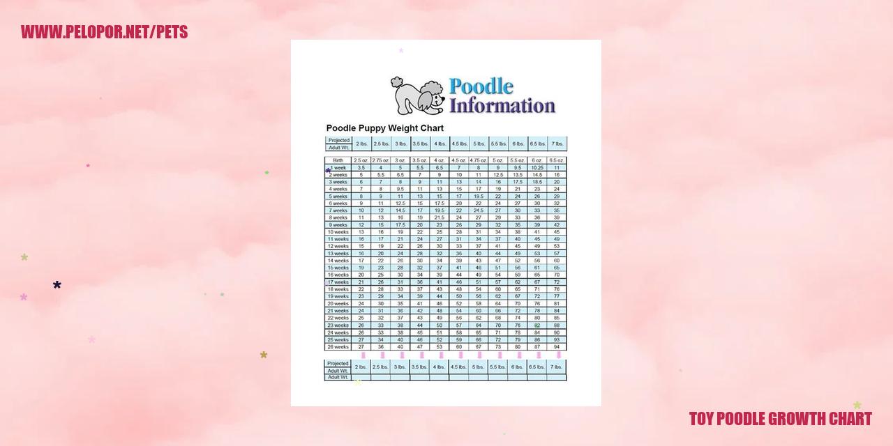 Toy Poodle Growth Chart