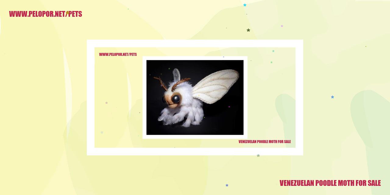 Venezuelan Poodle Moth For Sale