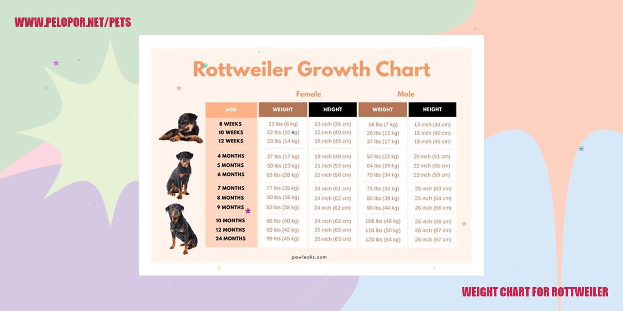 Weight Chart For Rottweiler