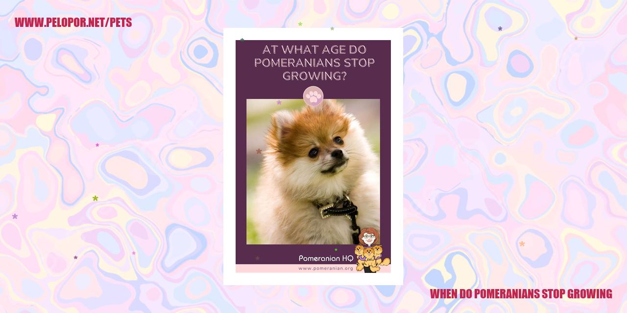 When Do Pomeranians Stop Growing
